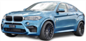 Шрот BMW X6