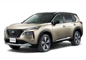 Разборка Nissan X-Trail в Украине