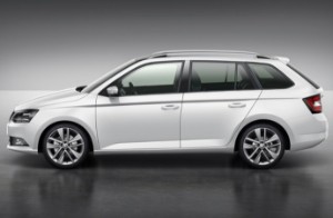 Разборка Skoda Fabia в Украине