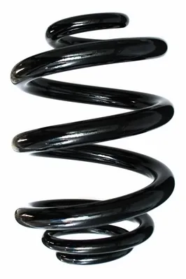 Задняя пружина 85529 GKN-Spidan