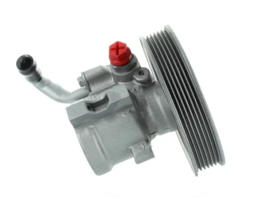 Насос ГУР RG0122 Raiso