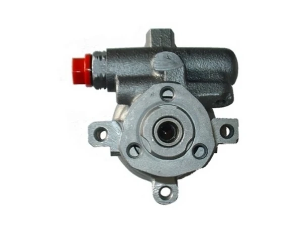 Насос ГУР 53629 GKN-Spidan