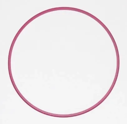  003881 Elring