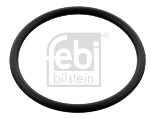  100077 Febi