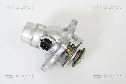 Термостат 8620213105 Triscan
