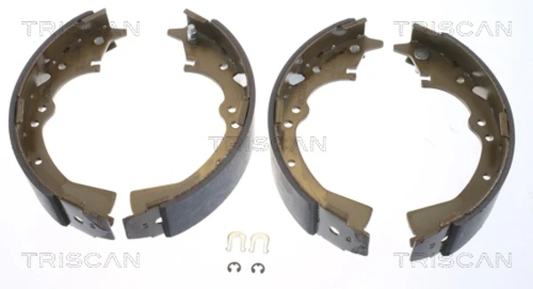 Колодки тормозные задние барабанные TRISCAN 810013426