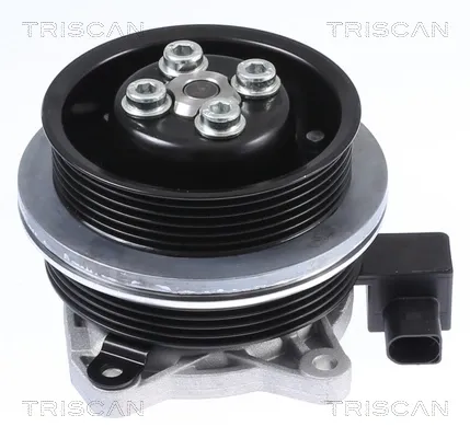 Помпа 860029062 Triscan