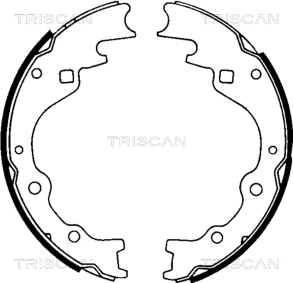 Колодки тормозные задние барабанные TRISCAN 810050461