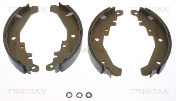 Колодки тормозные задние барабанные TRISCAN 810015026