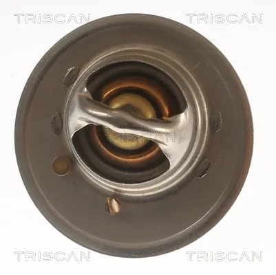 Термостат 30100010993 Dello/Automega