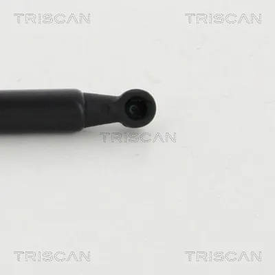 Амортизатор багажника 8710292019 Triscan