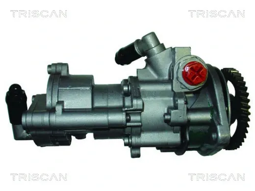 Насос ГУР 851529668 Triscan