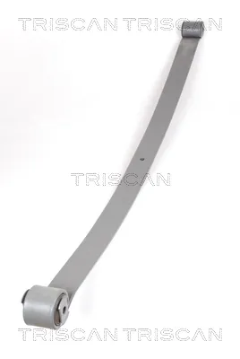 Рессора задняя SP540080 Raiso