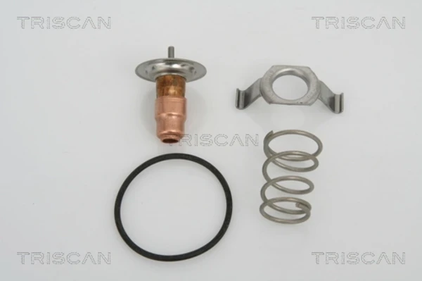 Термостат 862013487 Triscan