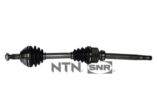  DK66008 SNR
