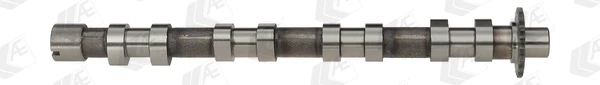 Впускной распредвал CAM748 AE