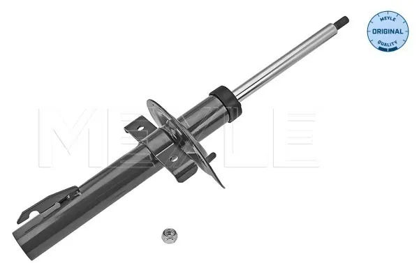 Амортизатор передний Renault Megane II