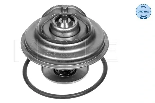 Термостат BMW 5 E39