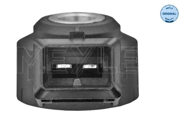 Датчик самовоспламенения на Fiat Scudo  220L