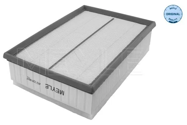 Воздушный фильтр RF1563FWB Goodrem