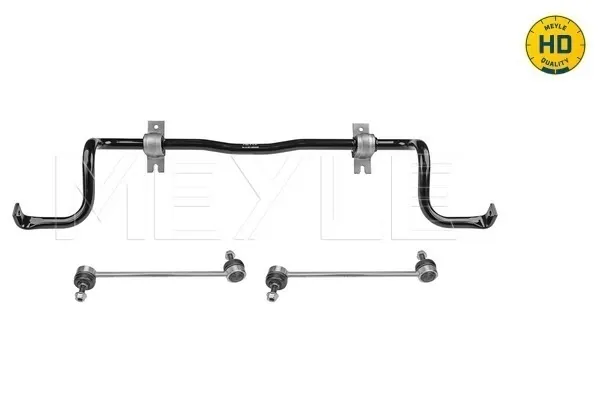 Передний стабилизатор Renault Fluence L3