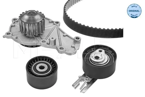 Комплект ГРМ 8550500852 Renault (RVI)