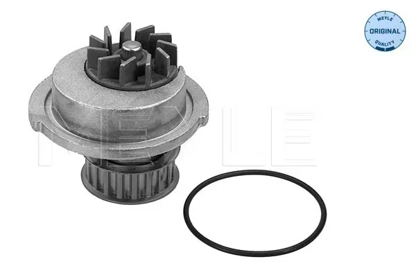 Помпа Chevrolet Aveo II