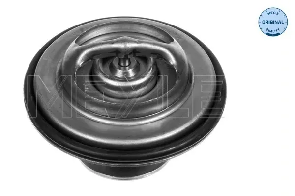 Термостат BMW 5 E28