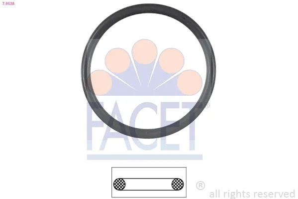 Прокладка термостата 79538 Facet