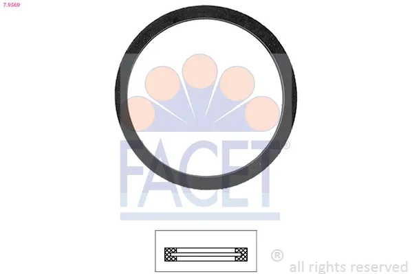 Прокладка термостата 79569 Facet