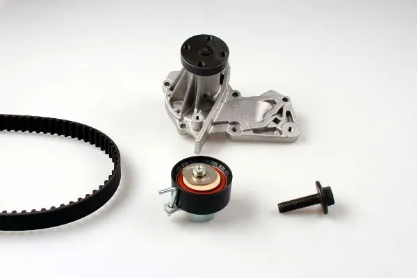Комплект ГРМ PK02551 Hepu