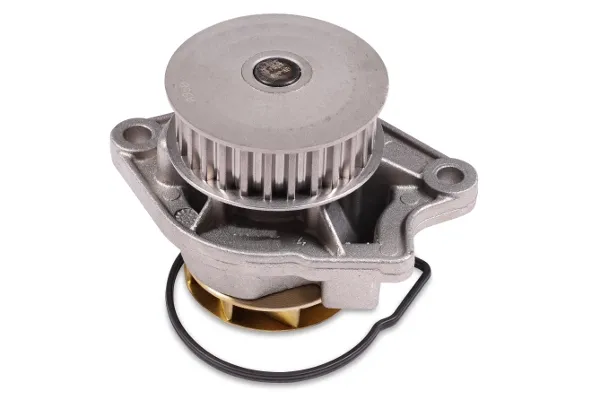 Помпа P541 Hepu