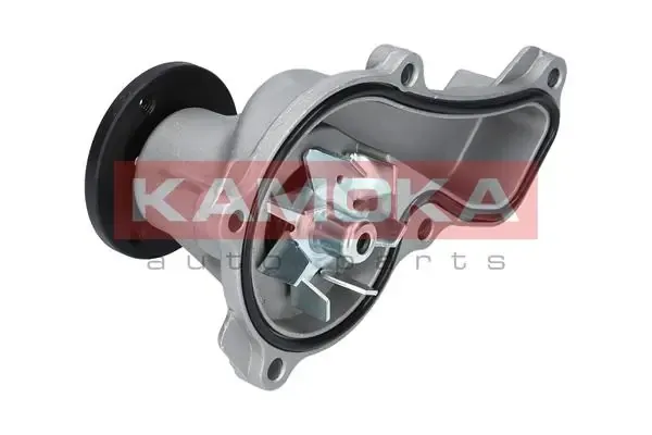 Помпа T0151 Kamoka