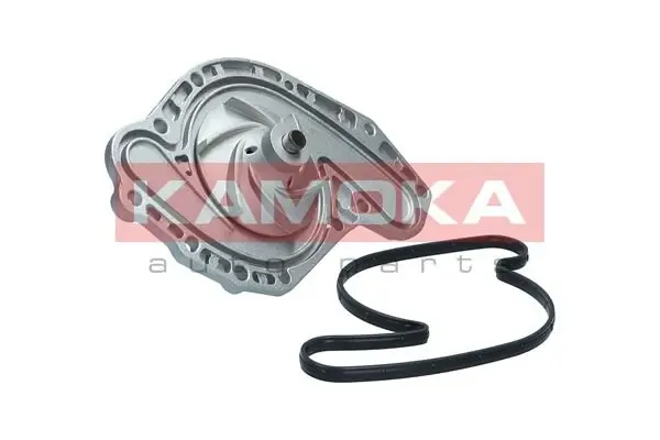 Помпа T0321 Kamoka