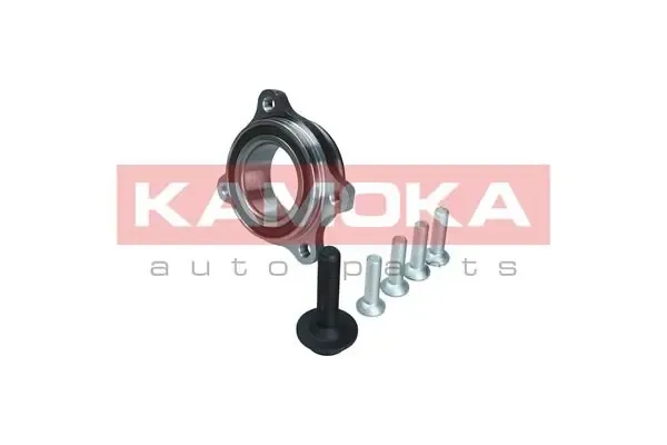 Подшипник ступицы 5500174 Kamoka