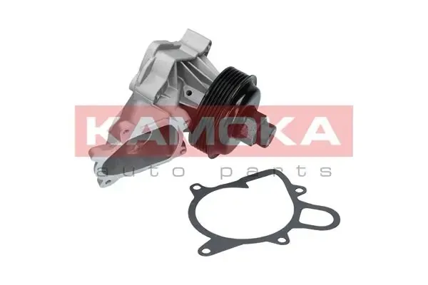 Помпа T0060 Kamoka
