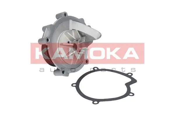 Помпа T0100 Kamoka