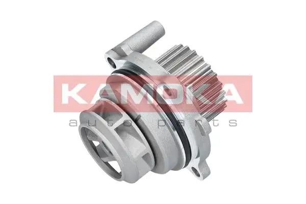 Помпа T0029 Kamoka