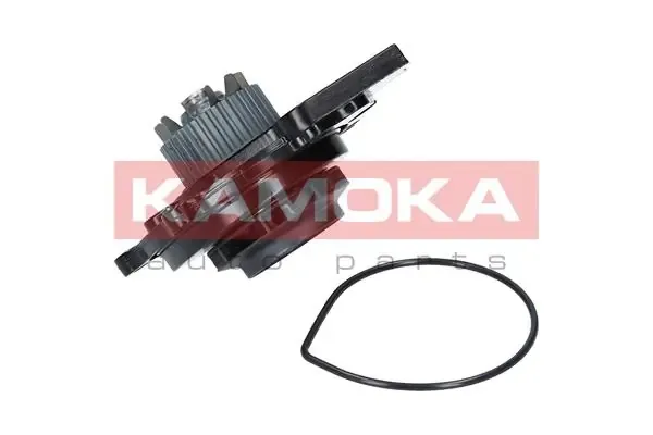 Помпа водяная (насос) охлаждения, в сборе с корпусом T0031 Kamoka