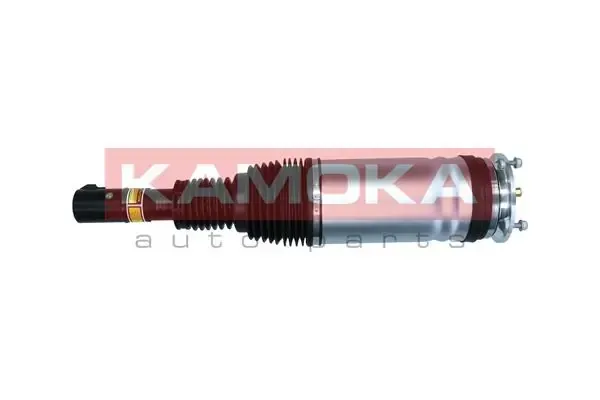 Амортизатор передний правый 2070009 Kamoka