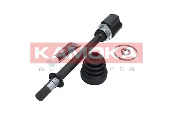  8734 Kamoka