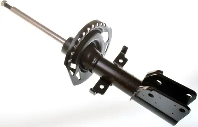 Амортизатор передний DSB168G Denckermann