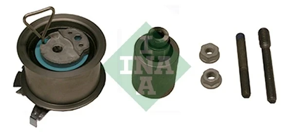Комплект ГРМ 530020109 INA