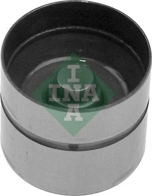 Гидрокомпенсатор 420006210 INA