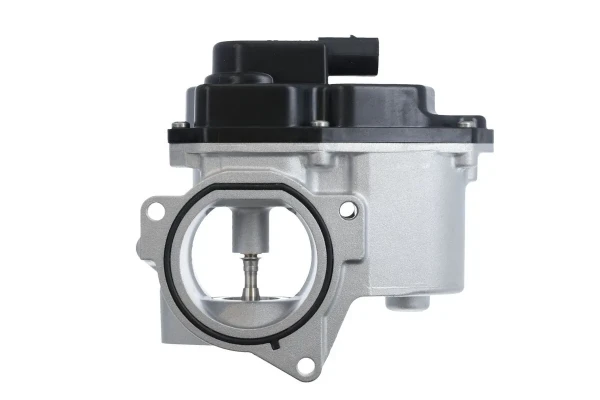 Клапан ЕГР 700424 VALEO