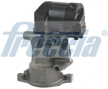 Клапан ЕГР EGR12113 Freccia