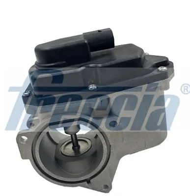 Клапан ЕГР EGR12123 Freccia