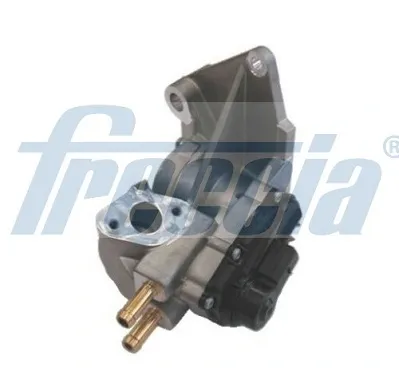 Клапан ЕГР EGR12195 Freccia