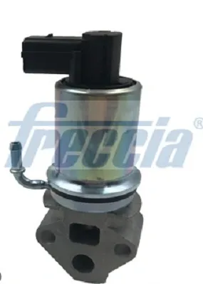 Клапан ЕГР EGR12147 Freccia