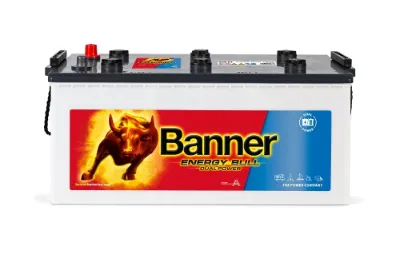Акумулятор Баннер 230 Ач 12 В (010968010101)